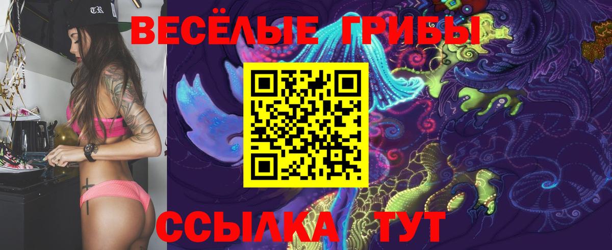 Псилоцибиновые грибы Psilocybine cubensis  Вход с VPN  Майкоп 